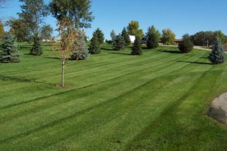 Mowing, Fertilization and lawn service for Amesbury and the Merrimack Valley