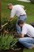Let us do the mulching, spring clean up and mowing in Andover, Ma.!
